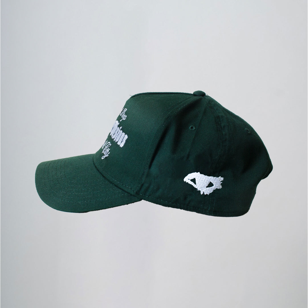 Disruptive Visions - Premium Baseball Cap