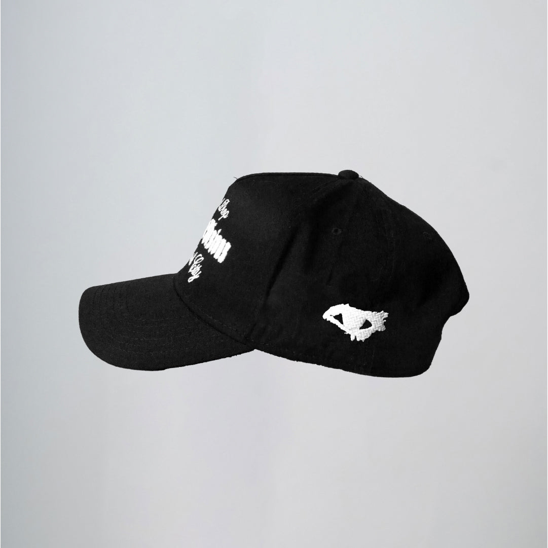 Disruptive Visions - Premium Baseball Cap