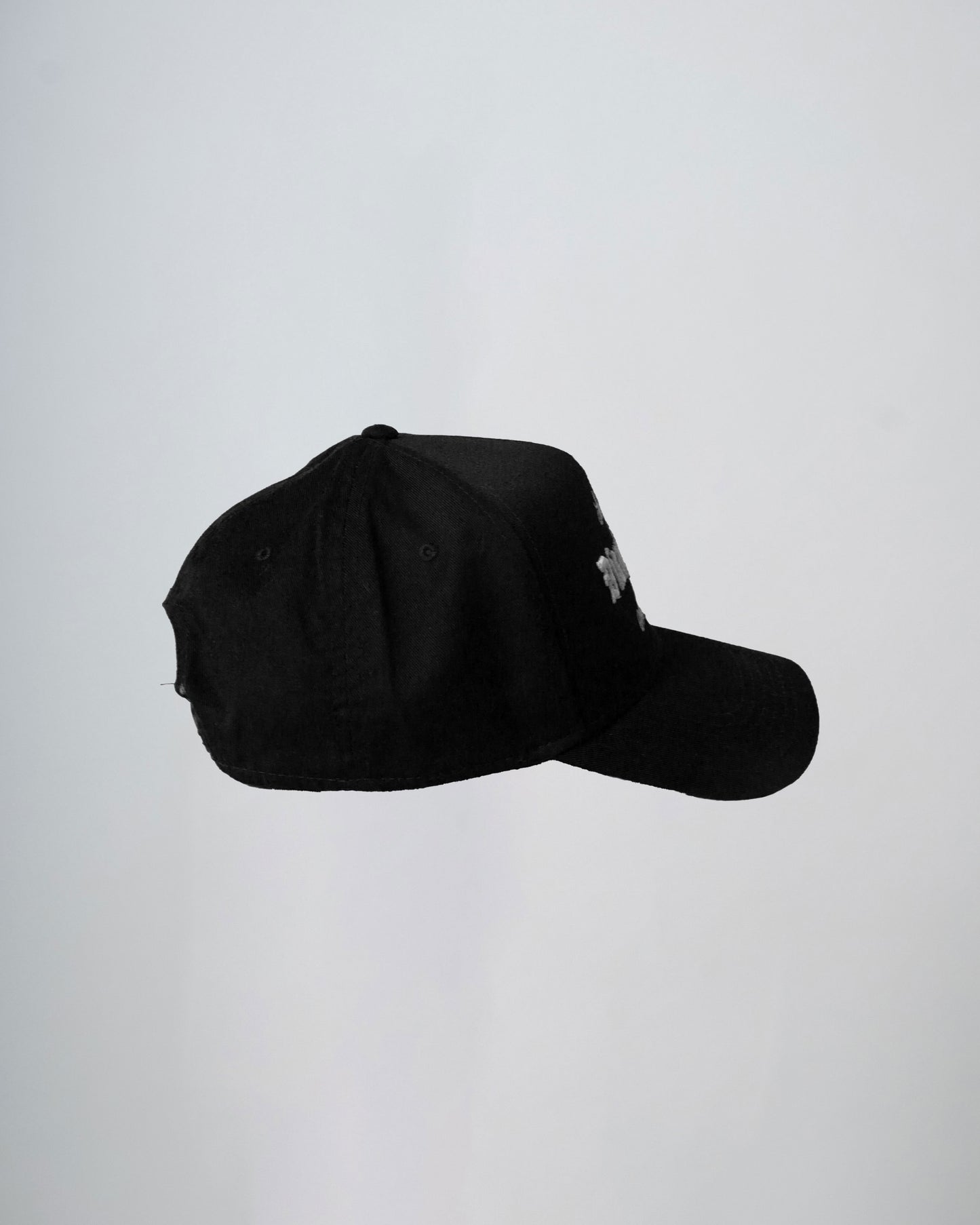 Disruptive Visions - Premium Baseball Cap