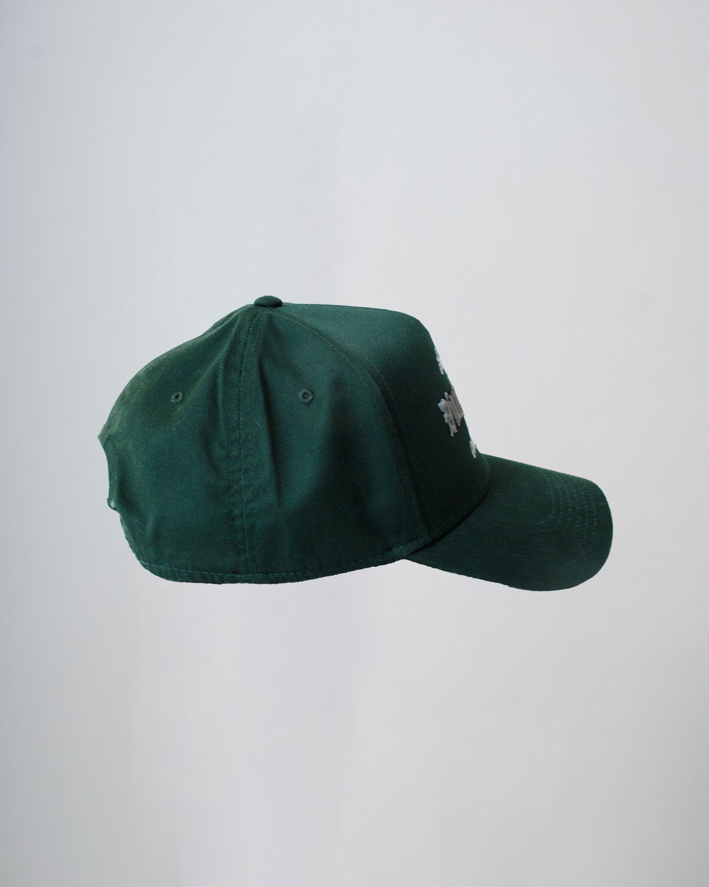 Disruptive Visions - Premium Baseball Cap