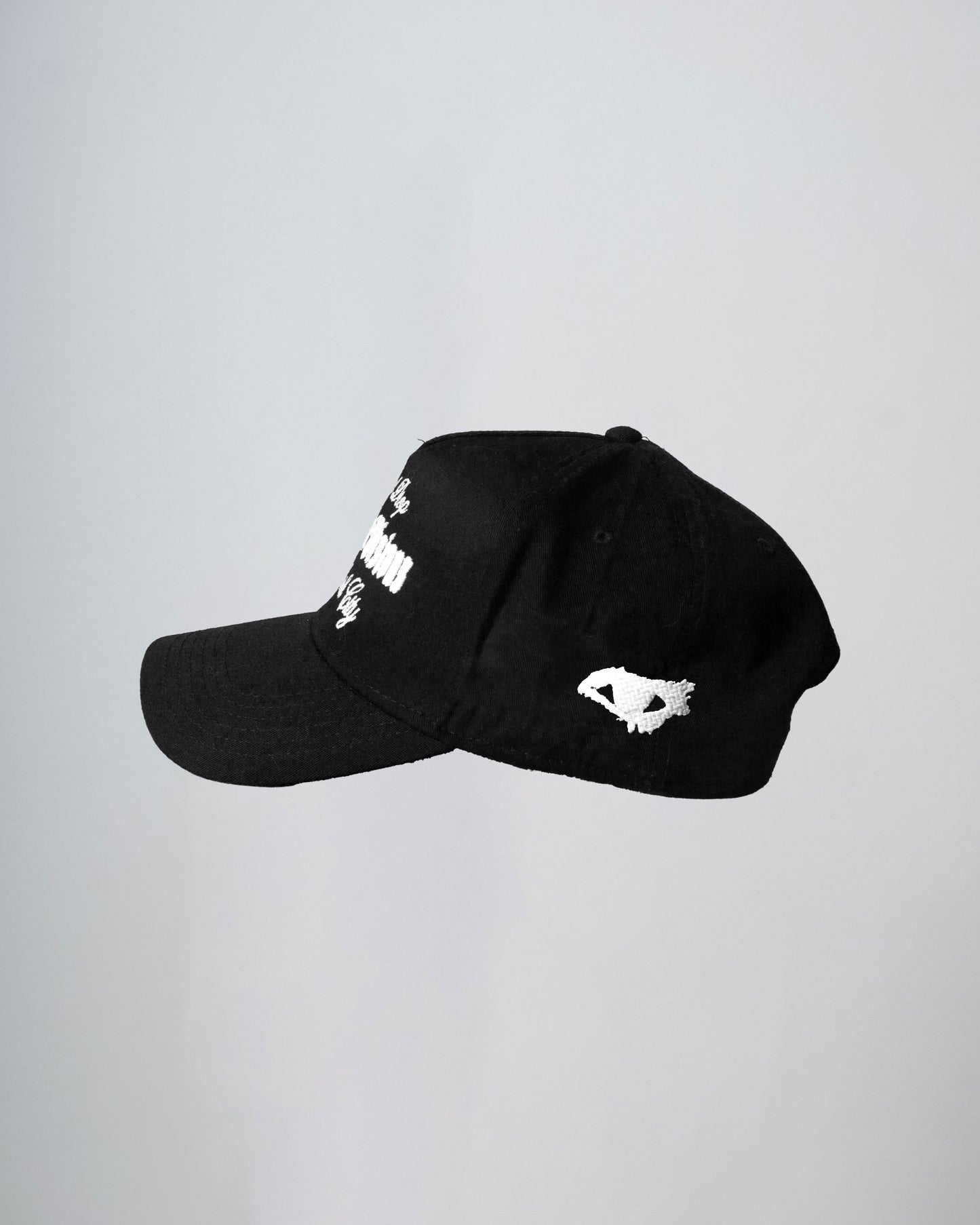 Disruptive Visions - Premium Baseball Cap